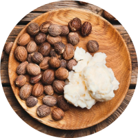 Magnesium Cream Muscle 5 Magnesium Cream Muscle 5